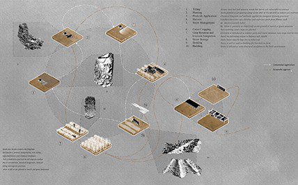 Olive Lazarus project